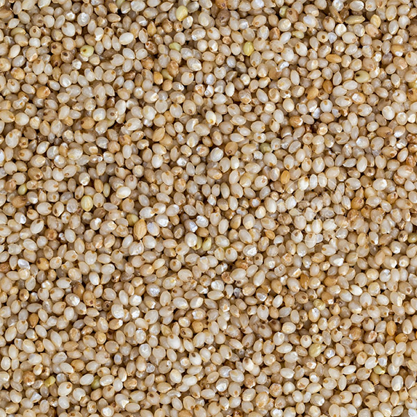 Acharya Exim Imports and Exports