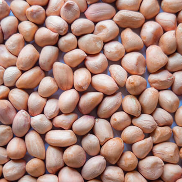 Acharya Exim Imports and Exports